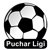 Puchar Ligi